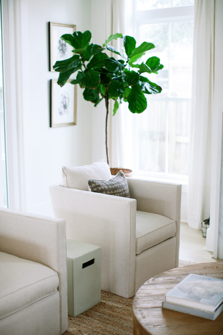 My Favorite Resources for Faux Plants for Your Home